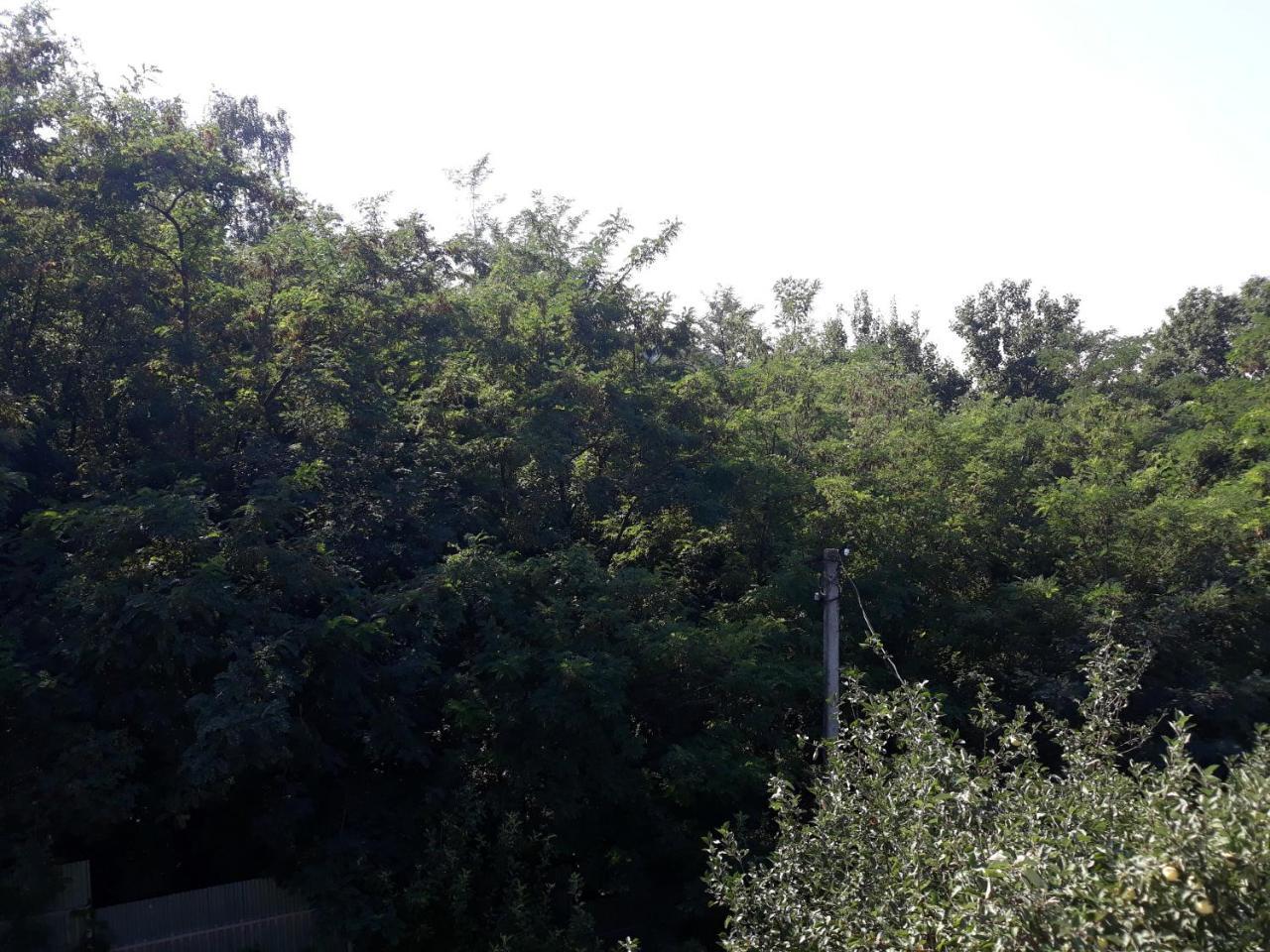Glubokoye Котедж "Лісовий Затишок" מראה חיצוני תמונה
