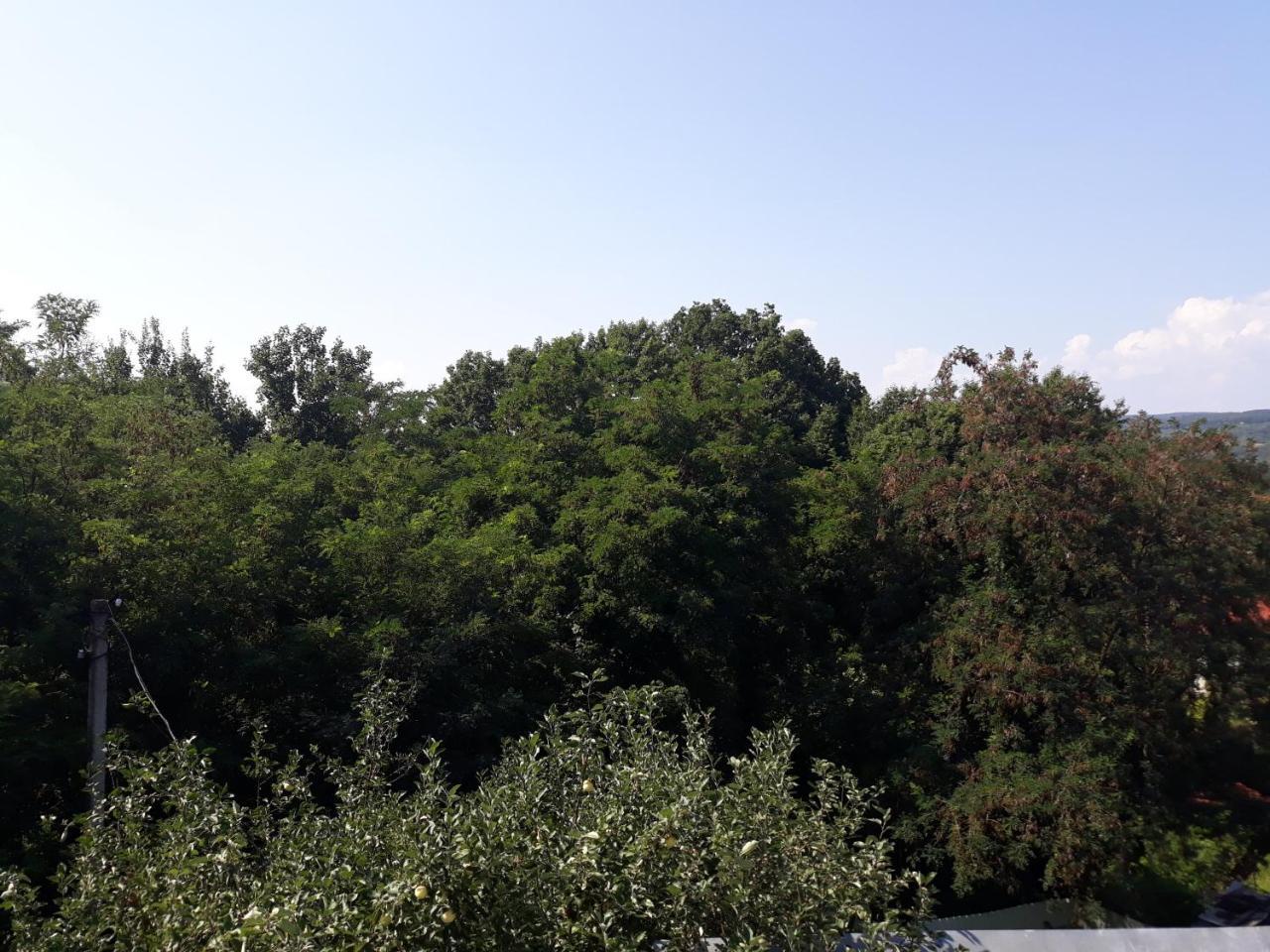 Glubokoye Котедж "Лісовий Затишок" מראה חיצוני תמונה